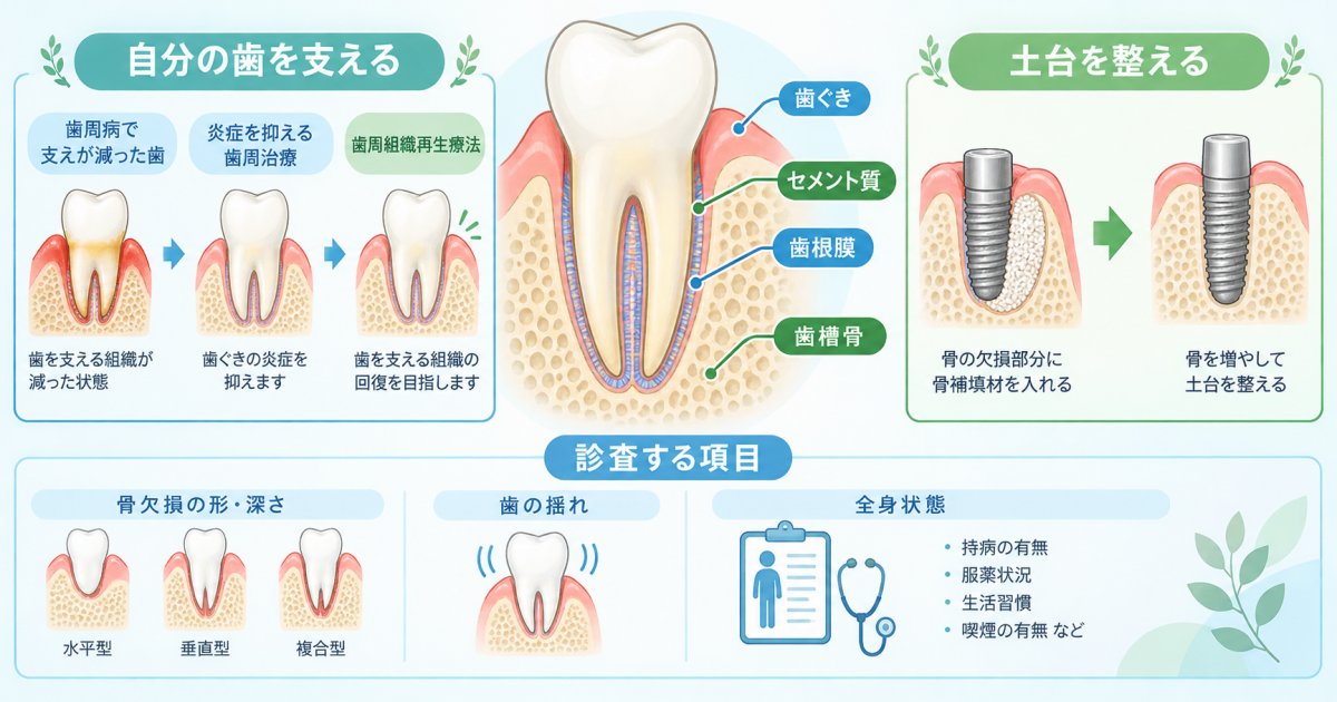 歯周病で減った歯槽骨は戻る？再生の仕組みと歯を残すための判断