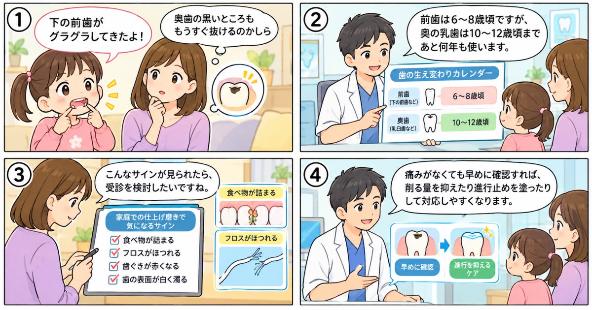 前歯と奥歯で異なる生え変わり時期と、受診を考えたい乳歯のむし歯のサイン